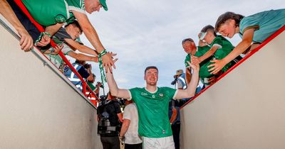 Limerick to give Declan Hannon 'full length of time' to prove fitness for All-Ireland final against Kilkenny