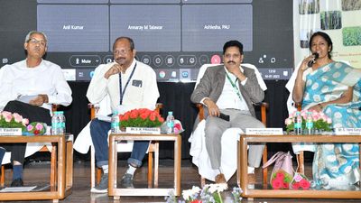 Meet attributes decline in area under millets to marketing, support price issues