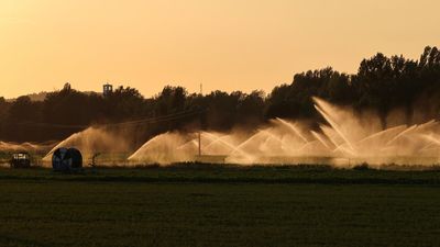 UN records hottest week on record, warns of impacts on ecosystems, health