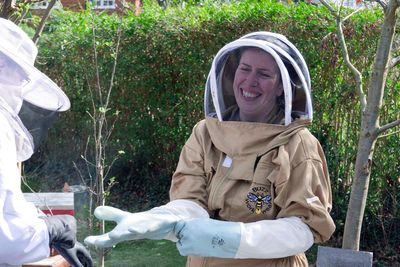 Beekeeping has gone viral – but how easy is it?