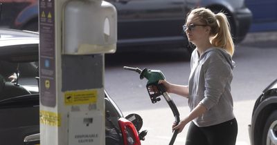RAC launches new app to help drivers save up to £172 a year - how it works