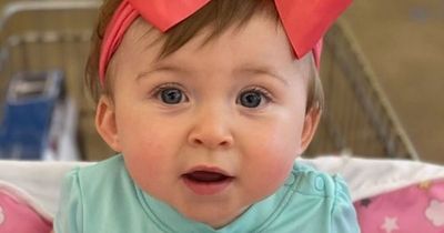 Harlow Freeman found: Baby found in dad's car after cops feared she had been kidnapped