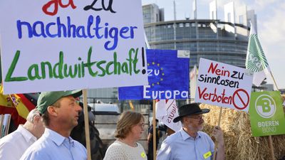 Backlash against Nature Restoration Law shows deep divides in European Parliament
