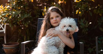 Help with our search for Britain's most incredible pets
