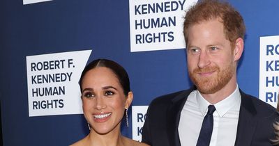 Harry and Meghan must 'reinvent themselves' to 'save Sussex brand' ex royal aide warns