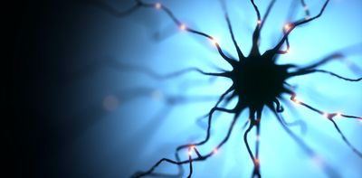 Immune cells in the brain may reduce damage during seizures and promote recovery, according to study in mice