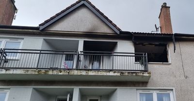 Fire rips through Drumchapel flat as dog dies and child raced to hospital