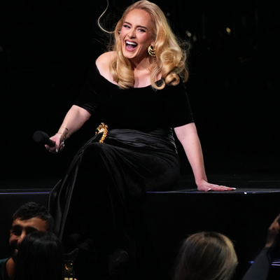 Adele Is Not OK With Fans Throwing Objects at Her While She's on Stage
