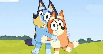 Disney+ to show 10 new episodes of kids' favourite Bluey starting tomorrow