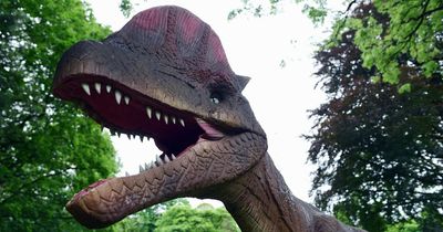Huge dinosaurs will be taking over Cardiff's Bute Park again this summer