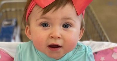 Harlow Freeman: Baby kidnapped by car thief FOUND alive by police after 14-hour search