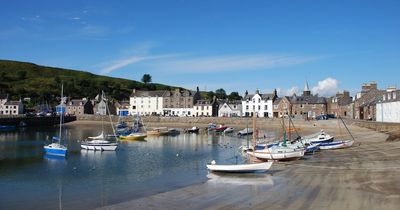 Travel warning issued after hundreds of dead birds found at Scots beach