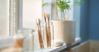 Cleaning guru's trick to keeping toothbrush holder clean from 'nasty sludge'