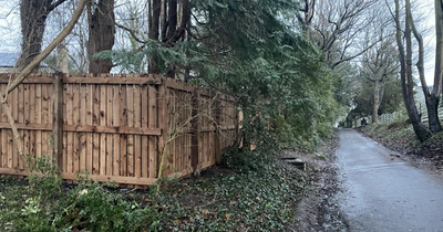Edinburgh man's neighbours fume over fence 'built around common land'