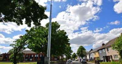 Council launches investigation after huge mast built 'without permission'