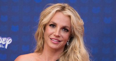 Britney Spears poses topless on cover of brave new memoir as release date is confirmed