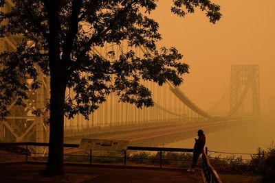 Watch: Scientists make announcement on current Earth ‘era’