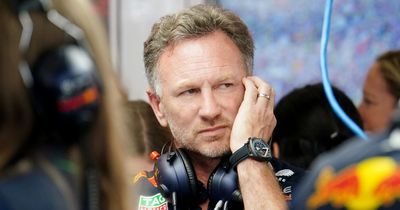 Christian Horner's warning about Nyck de Vries ignored as Red Bull chief proven right