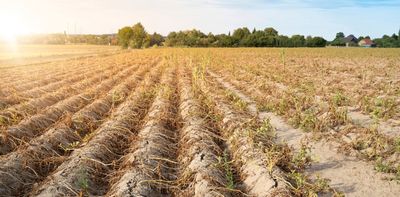 Climate change threatens to cause 'synchronised harvest failures' across the globe, with implications for Australia's food security