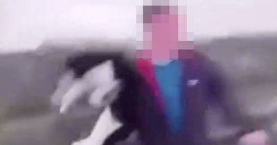 Boy 'hurls cat off quarry ledge as it plummets into water' in sick video
