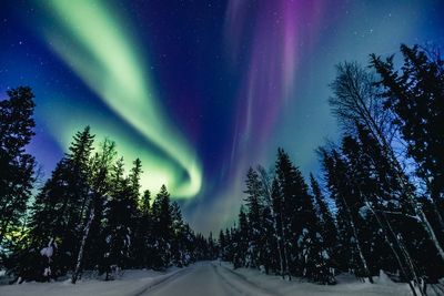 Northern Lights cancelled: Experts admit forecast promising display across US was wrong