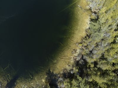 Evidence in Canada lake indicates start of new Anthropocene epoch
