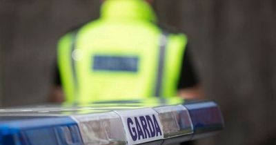 Gardai suspect Tallaght gunmen were on the way to carry out an act of violence