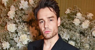 Liam Payne issues grovelling apology to One Direction bandmates as he admits to being 'wrong'
