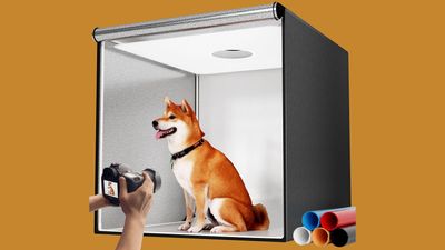 This is the dumbest Prime Day product I've seen this year
