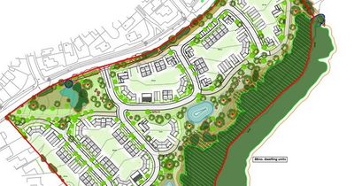 Joy as housing plans for green belt withdrawn after furious opposition
