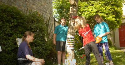 Keynsham Girls’ Brigade group takes local and international action for pollinators