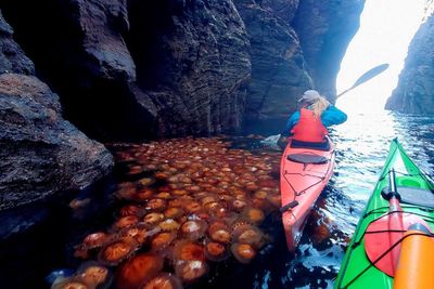 Incredible pictures show 'jellyfish soup' in Scottish waters