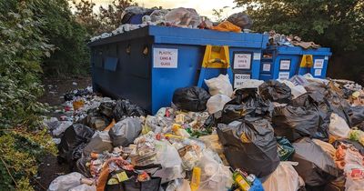 Bin strikes causing 'public health crisis' in South Gloucestershire