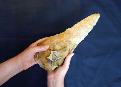 'Giant' 300,000-year-old hand ax found in England may have been used for prehistoric butchery