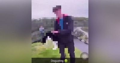 Police issue warning after teenager throws cat into quarry in disturbing clip