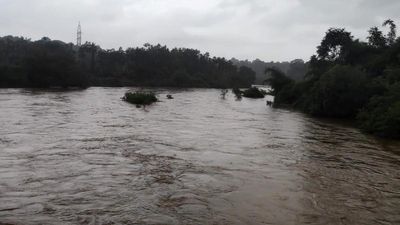 Inflow to reservoirs dips as rain abates in catchment areas of Cauvery river in Karnataka