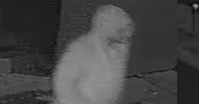 Edinburgh police issue image of man in dressing gown after pub was torched