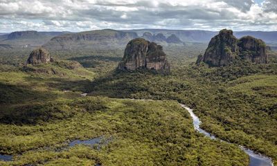 Colombia deforestation plummets as peace efforts focus on rainforest