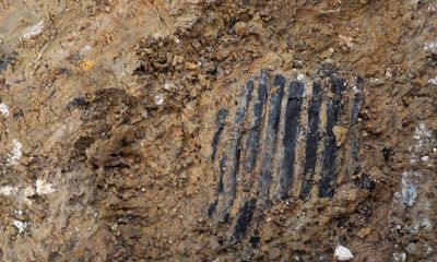 Bronze age wooden comb could be oldest discovered in UK