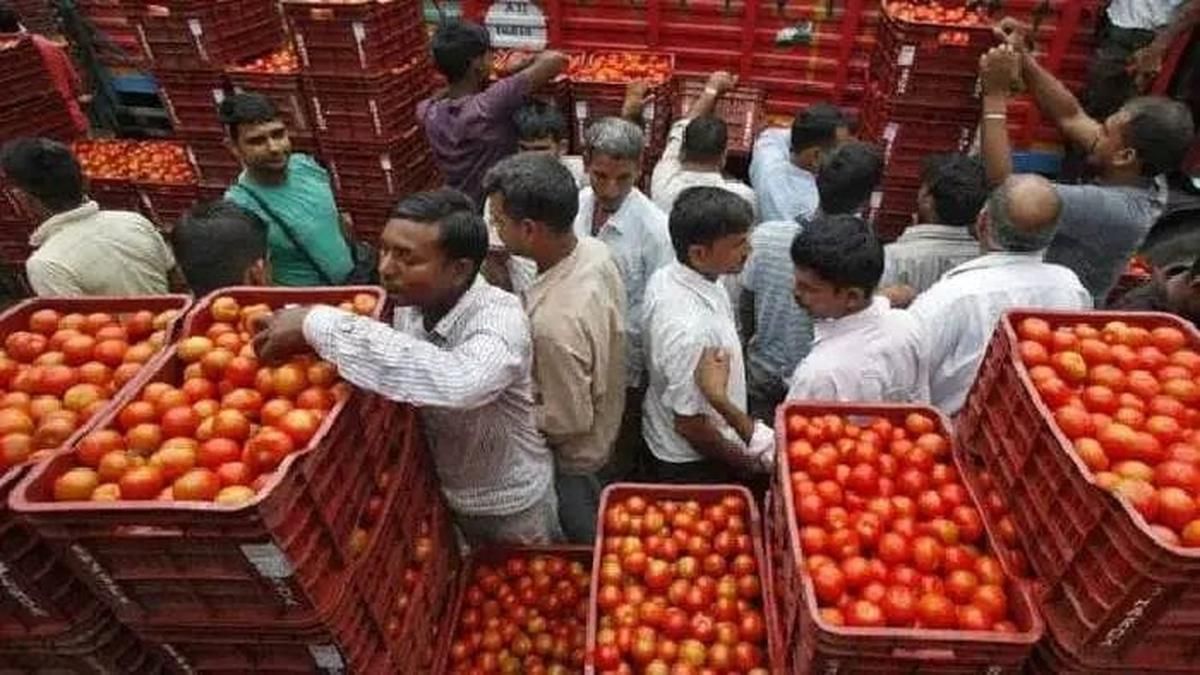 Tomato prices may shoot up further in Andhra Pradesh, picture