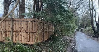 Neighbours claim man built 6ft fence so he could have a bigger garden