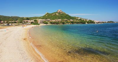 Earth's blue oceans are turning GREEN in devastating impact of climate change