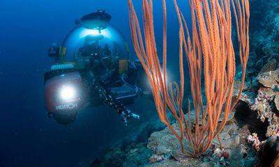 Plastic pollution on coral reefs gets worse the deeper you go, study finds