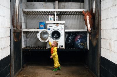 ‘Manus wants the washing machine door, not the horse’: Lorraine Tuck’s best photograph