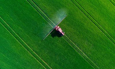 Pesticides from farming leach into world’s waterways at rate of 710 tonnes a year, UN research shows