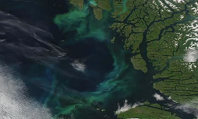 World’s oceans changing colour due to climate breakdown