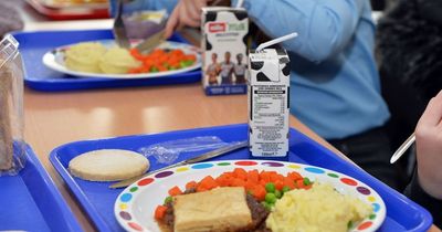 Caerphilly council will use its reserves to feed vulnerable children over summer - and MS wants other councils to do the same