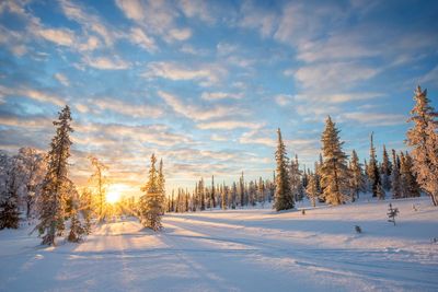 8 of the best Lapland holidays, tours and all-inclusive packages for a magical winter break