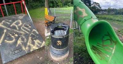 'Minority of morons' vandalise £100k children’s play area with graffiti