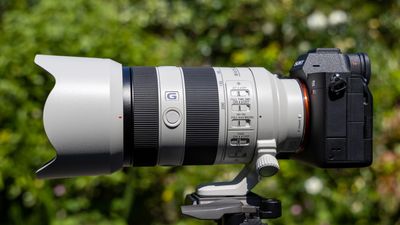 Sony FE 70-200mm F4 Macro G OSS II review